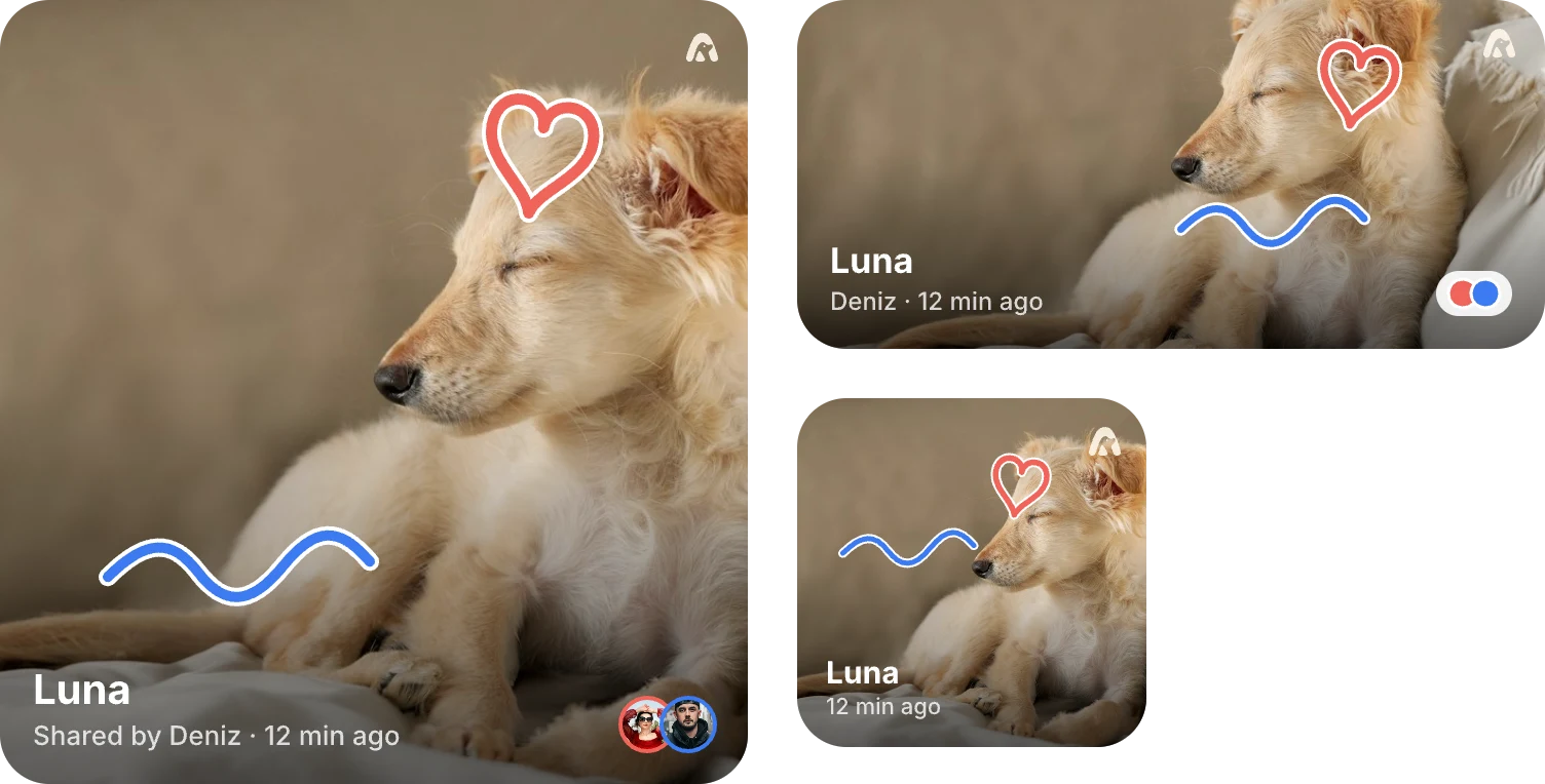 Aldu home screen widgets in three sizes showing the latest pet photo